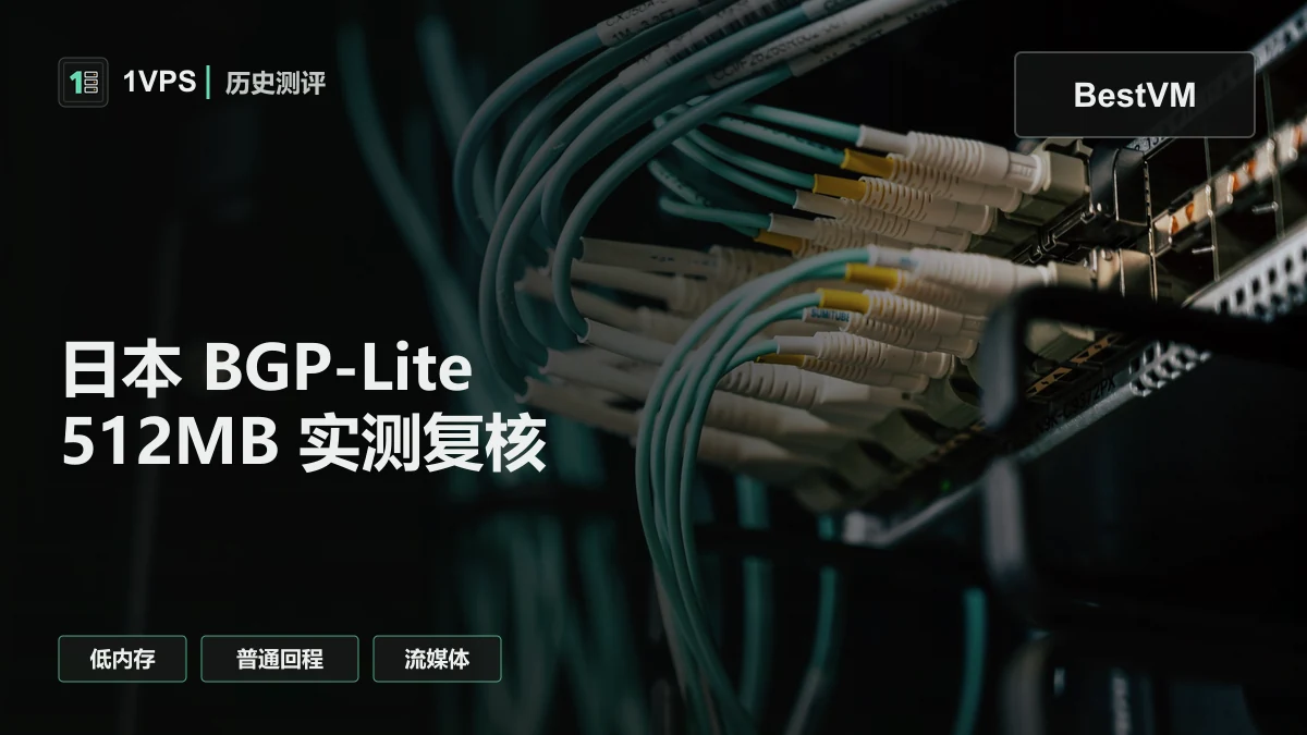 BestVM 日本BGP-Lite-1T-1C/0.5G/5G/1T@1Gbps 月￥19测评